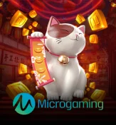 MICROGAMING